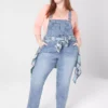 Ankle Straight Leg Denim Overalls